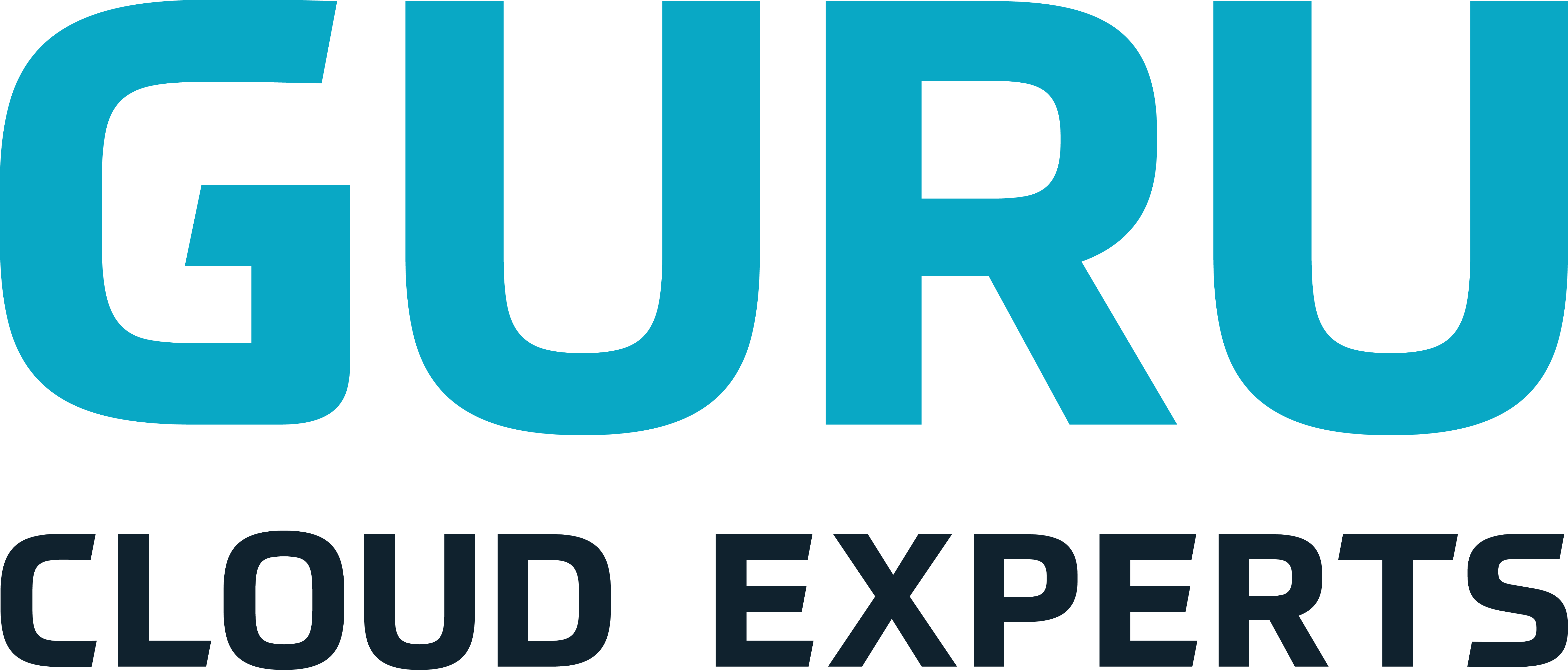 Guru-Tagline-large.png#asset:1801